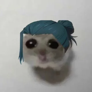 🐹 emoji Tokyo Hamsters - @sukior Telegram sticker 21 of 59