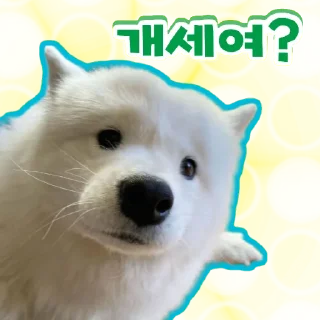 Sticker from 🐶강아지단🐶