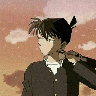 ☘ emoji Shinichi kudo @munguttikel @VanysChannel Telegram sticker 13 of 20