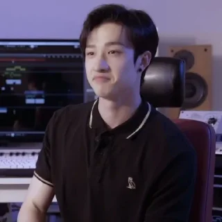 Sticker from Bang Chan | @O97SARCASM