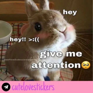 🥺 emoji Wholesome Love 💜 @cutelovestickers Telegram sticker 18 of 93