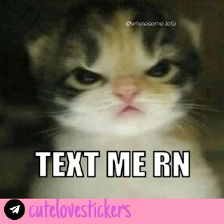 🥺 emoji Wholesome Love 💜 @cutelovestickers Telegram sticker 10 of 93