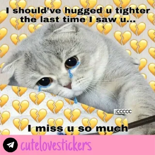 Sticker from Wholesome Love 💜 @cutelovestickers