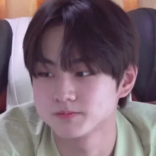 🐈 emoji ⬦ׄ ֶָ֪   TINY OCCI @JUNGGOKlE  𖥔 ‌ Telegram sticker 7 of 63