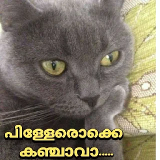 🤪 emoji Psycho sticker🤐🤐 Telegram sticker 22 of 108