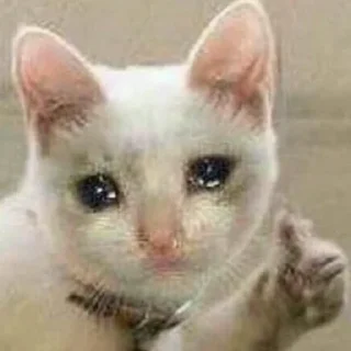 🤧 emoji bulan mood @feubruary Telegram sticker 20 of 120