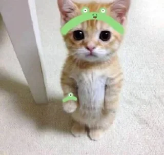 🌟 emoji pussy cats! Telegram sticker 22 of 40