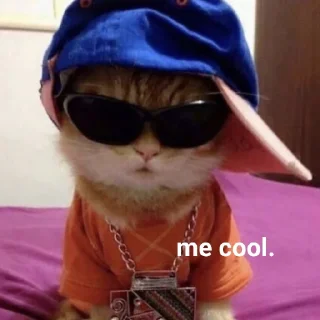 😎 emoji Silly cats! x3 — @KElJll Telegram sticker 16 of 29
