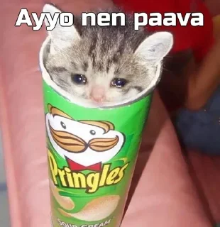 ☹️ emoji Funny cat [ @OWNER_OF_S0UL ] Telegram sticker 13 of 79