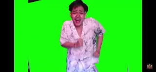 🐷 emoji Green Screen Erpan@Mpus_mpus Telegram sticker 17 of 18