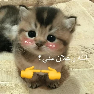 🌟 emoji @hamoudi615 : 🔥🥶┆ثـورجـي Telegram sticker 14 of 60