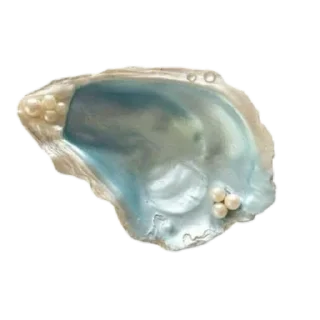 💎 emoji @lueveil’s. by the seashore.🤍🐚🫧 Telegram sticker 11 of 18