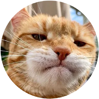 😡 emoji Kocheng Drama by @celup Telegram sticker 11 of 20