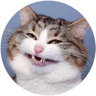 😁 emoji Kocheng Drama by @celup Telegram sticker 8 of 20