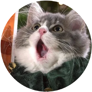 😱 emoji Kocheng Drama by @celup Telegram sticker 18 of 20