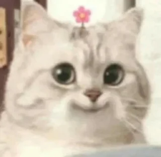 🐈 emoji @mbyot’s habit ^..^₎⟆ Telegram sticker 17 of 34