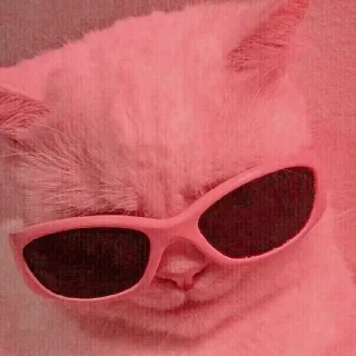 🐱 emoji ⋆ 𝓜eong @namaplanet Telegram sticker 13 of 44