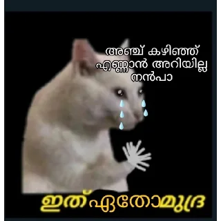🥺 emoji @Farseen_king_of_telegram For You Telegram sticker 18 of 120