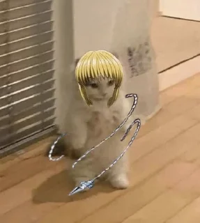 🐱 emoji Kurapika Telegram sticker 16 of 22
