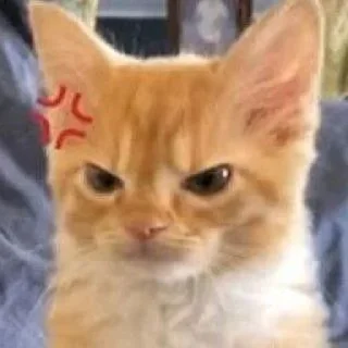 🙀 emoji cccat @dottorevs Telegram sticker 6 of 30