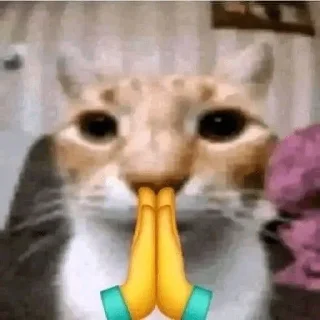 🙀 emoji cccat @dottorevs Telegram sticker 24 of 30