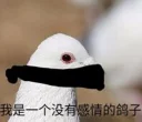 🐦 emoji Chunk7 自用贴纸包 Telegram sticker 22 of 76