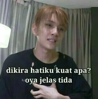 🤪 emoji Seventeen meme @JOYVIBE Telegram sticker 10 of 40