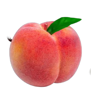 🍉 emoji 聊天交友群 @nb588 曝光 @nb688 Telegram sticker 10 of 120
