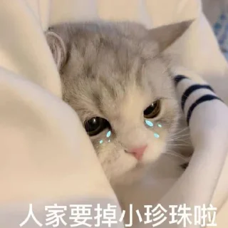 😿 emoji Cat48-丢丢✧٩(ˊωˋ*)و✧ Telegram sticker 13 of 69