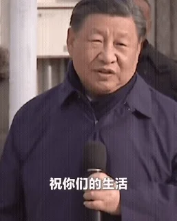 🤙 emoji 中共中央 国家主席 Telegram sticker 12 of 65