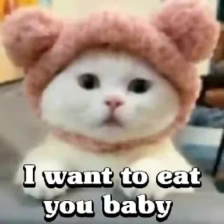 😀 emoji Cute Cats 😻😻 Telegram sticker 5 of 23