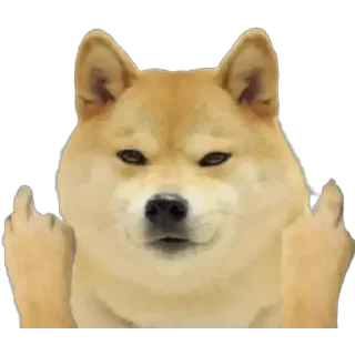 🖕 emoji RamdiBaaz Cheems - @AnnihilusOP Kang Pack 2 Telegram sticker 15 of 120