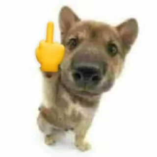 👯‍♀ emoji abiya Telegram sticker 8 of 22