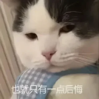 😶‍🌫️ emoji 粉丝麻袋装小樱 Telegram sticker 16 of 58