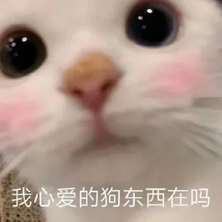 🤗 emoji 粉丝麻袋装小樱 Telegram sticker 13 of 58