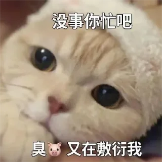🙄 emoji 粉丝麻袋装小樱 Telegram sticker 24 of 58