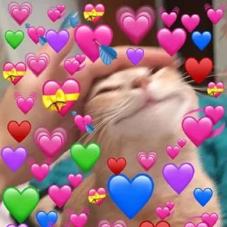 🥰 emoji Cute cats Telegram sticker 17 of 27