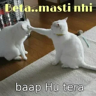 😌 emoji MAA KA LODA Telegram sticker 16 of 114
