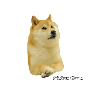 😢 emoji @stickersworld_offl Cheems Stickers Telegram sticker 6 of 18