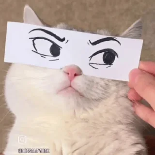 😼 emoji ✨Cats 😺 Telegram sticker 9 of 11