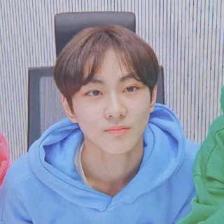 Sticker from — jᥙᥒgᥕ᥆ᥒιᥱ