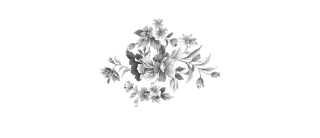 🕊️ emoji @StikerPsd, @Crimignal; Borders. Telegram sticker 10 of 39