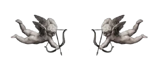 🕊️ emoji @StikerPsd, @Crimignal; Borders. Telegram sticker 15 of 39