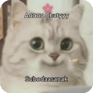 🌟 emoji Meow ...o_O. Telegram sticker 11 of 53