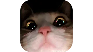 🐱 emoji ✗𖤍 𝑴𝒊𝒏𝒊𓂁 🐣 :: @bitch_uh Telegram sticker 11 of 115
