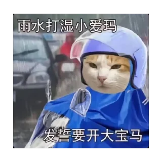 🌧 emoji 自用2 Telegram sticker 18 of 60