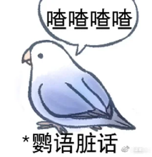 🦜 emoji 傻鸟 @emo315 Telegram sticker 8 of 60