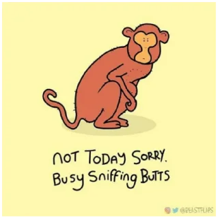🐵 emoji Grumpy Animals by @beastflaps Telegram sticker 19 of 115