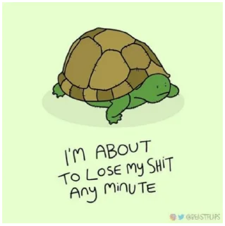 🐢 emoji Grumpy Animals by @beastflaps Telegram sticker 22 of 115