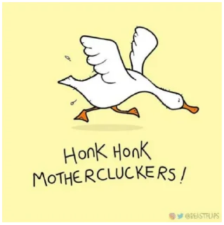 🦢 emoji Grumpy Animals by @beastflaps Telegram sticker 7 of 115